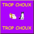 /album/galerie-photos/tag-dissou-film-gif/